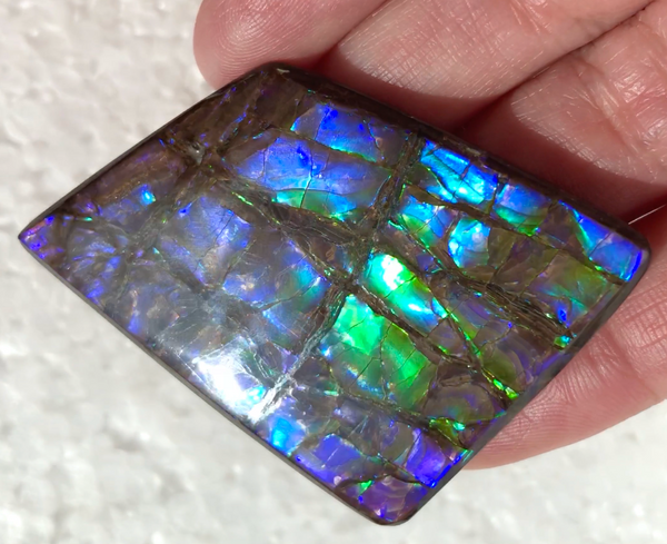 Large Beauty  56x37 mm  High Grade Natural  Free Form . FFNT 144 Ammolite  ナチュラル　ルース　アンモライト