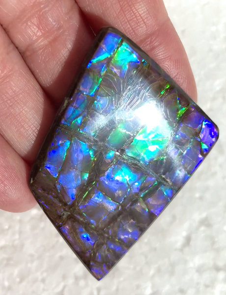 Large Beauty  56x37 mm  High Grade Natural  Free Form . FFNT 144 Ammolite  ナチュラル　ルース　アンモライト