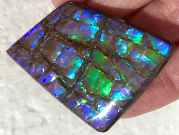 Large Beauty  56x37 mm  High Grade Natural  Free Form . FFNT 144 Ammolite  ナチュラル　ルース　アンモライト