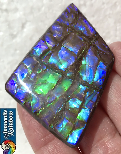 Large Beauty  56x37 mm  High Grade Natural  Free Form . FFNT 144 Ammolite  ナチュラル　ルース　アンモライト