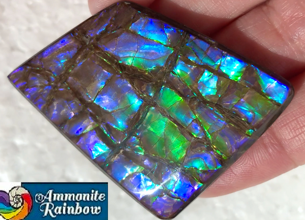 Large Beauty  56x37 mm  High Grade Natural  Free Form . FFNT 144 Ammolite  ナチュラル　ルース　アンモライト