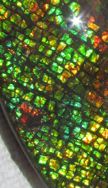 140x112x17mm  Collector Stone - CS-123  DragonSkin  Make an offer!- アンモライト　コレクターストーン　ハイグレード値下げ交渉あり！