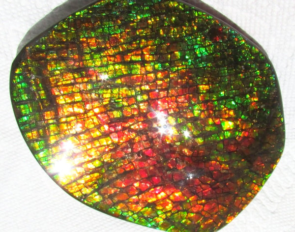 140x112x17mm  Collector Stone - CS-123  DragonSkin  Make an offer!- アンモライト　コレクターストーン　ハイグレード値下げ交渉あり！