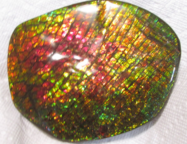 140x112x17mm  Collector Stone - CS-123  DragonSkin  Make an offer!- アンモライト　コレクターストーン　ハイグレード値下げ交渉あり！