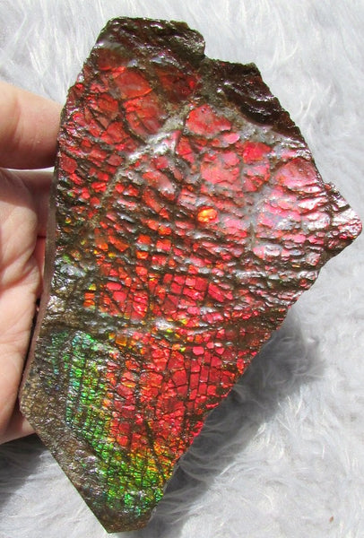 122mm x 73mm - RS-10