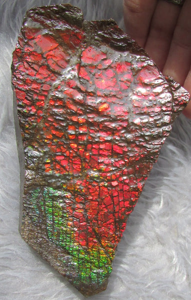 122mm x 73mm - RS-10