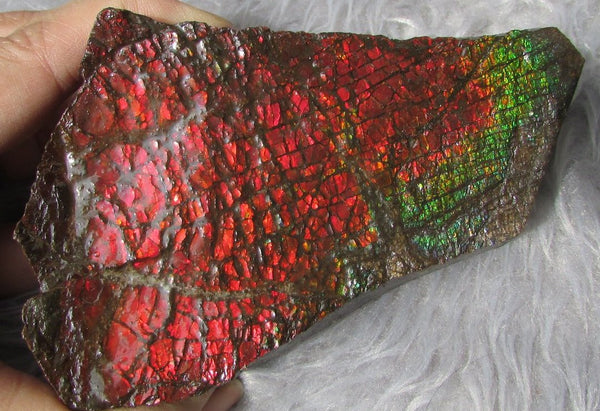 122mm x 73mm - RS-10