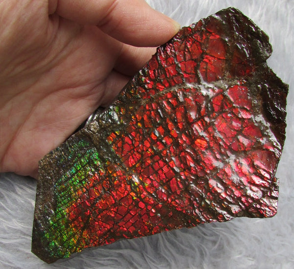 122mm x 73mm - RS-10