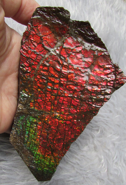 122mm x 73mm - RS-10