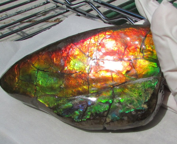 126 x 75 x 60 mm  Double-Sided Keel Piece Collector Stone - CS-125  アンモライト 両面Beauty キール部分