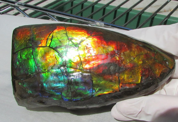 126 x 75 x 60 mm  Double-Sided Keel Piece Collector Stone - CS-125  アンモライト 両面Beauty キール部分