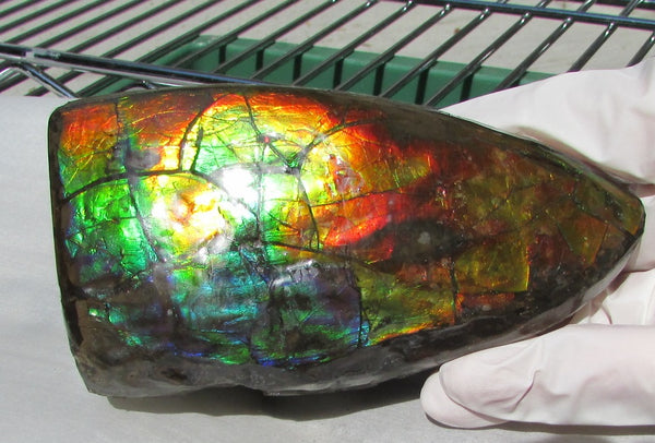 126 x 75 x 60 mm  Double-Sided Keel Piece Collector Stone - CS-125  アンモライト 両面Beauty キール部分