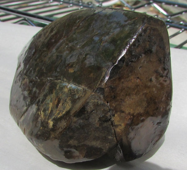 126 x 75 x 60 mm  Double-Sided Keel Piece Collector Stone - CS-125  アンモライト 両面Beauty キール部分