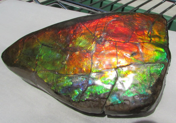 126 x 75 x 60 mm  Double-Sided Keel Piece Collector Stone - CS-125  アンモライト 両面Beauty キール部分