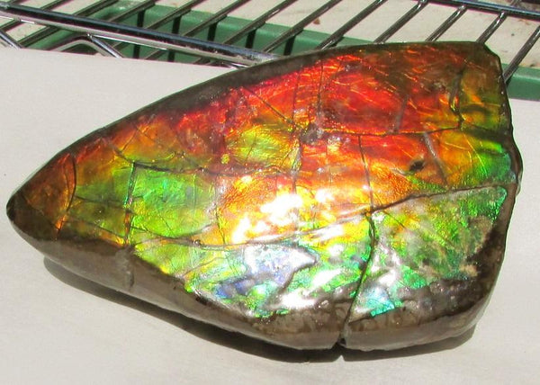 126 x 75 x 60 mm  Double-Sided Keel Piece Collector Stone - CS-125  アンモライト 両面Beauty キール部分