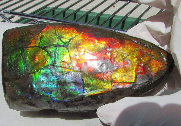 126 x 75 x 60 mm  Double-Sided Keel Piece Collector Stone - CS-125  アンモライト 両面Beauty キール部分