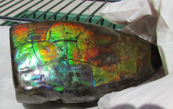 126 x 75 x 60 mm  Double-Sided Keel Piece Collector Stone - CS-125  アンモライト 両面Beauty キール部分