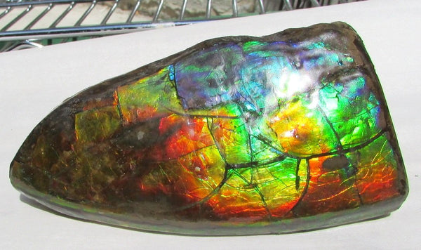 126 x 75 x 60 mm  Double-Sided Keel Piece Collector Stone - CS-125  アンモライト 両面Beauty キール部分