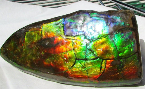 126 x 75 x 60 mm  Double-Sided Keel Piece Collector Stone - CS-125  アンモライト 両面Beauty キール部分