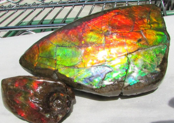 126 x 75 x 60 mm  Double-Sided Keel Piece Collector Stone - CS-125  アンモライト 両面Beauty キール部分