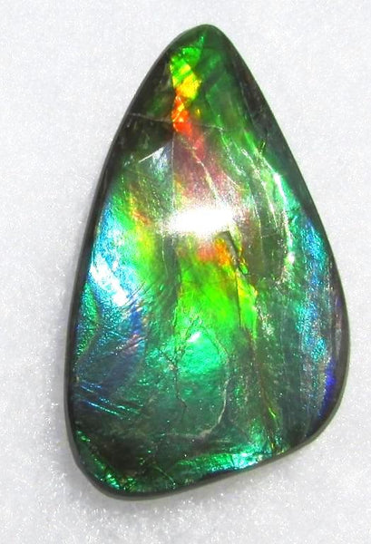 49.5 x 25 mm  Large Natural  Free Form . FFN 338 Ammolite  ナチュラル　ルース　アンモライト フリーフォーム