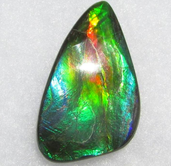 49.5 x 25 mm  Large Natural  Free Form . FFN 338 Ammolite  ナチュラル　ルース　アンモライト フリーフォーム