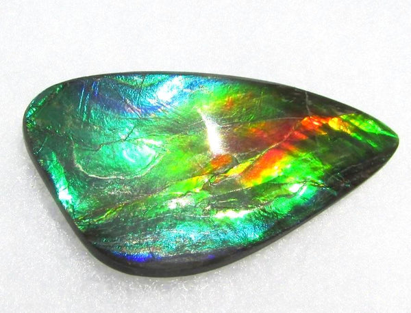 49.5 x 25 mm  Large Natural  Free Form . FFN 338 Ammolite  ナチュラル　ルース　アンモライト フリーフォーム
