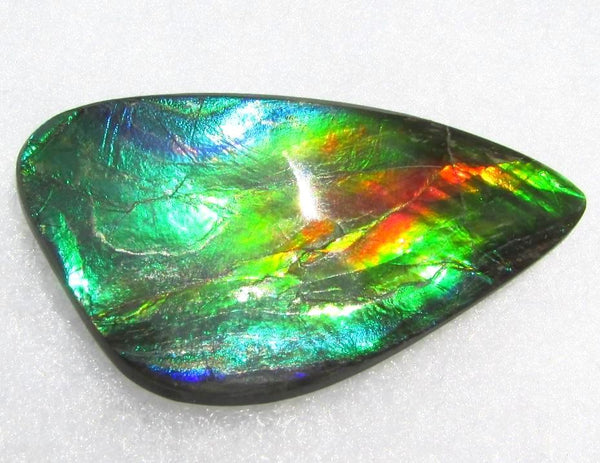 49.5 x 25 mm  Large Natural  Free Form . FFN 338 Ammolite  ナチュラル　ルース　アンモライト フリーフォーム