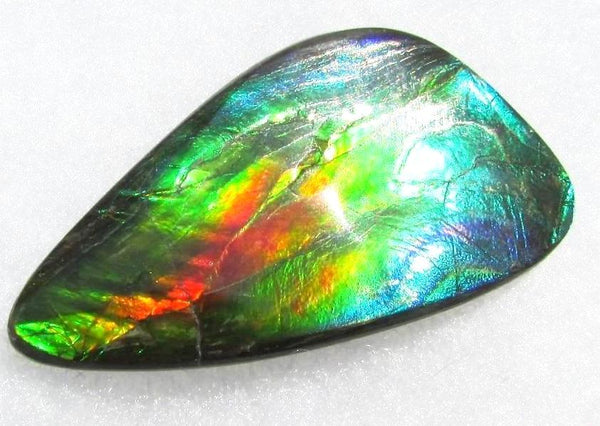 49.5 x 25 mm  Large Natural  Free Form . FFN 338 Ammolite  ナチュラル　ルース　アンモライト フリーフォーム