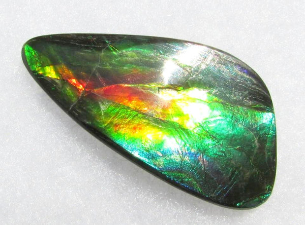 49.5 x 25 mm  Large Natural  Free Form . FFN 338 Ammolite  ナチュラル　ルース　アンモライト フリーフォーム