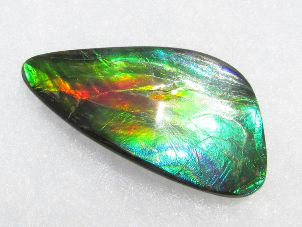 49.5 x 25 mm  Large Natural  Free Form . FFN 338 Ammolite  ナチュラル　ルース　アンモライト フリーフォーム