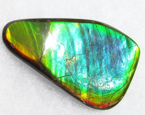 66  x 38 mm  Natural  Free Form . FFN 339 Ammolite  ナチュラル　ルース　アンモライト