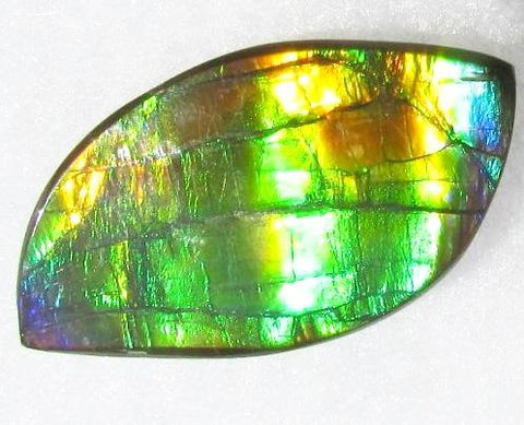 39  x 20 mm  Natural Large  Free Form . FFN 330 Ammolite  ナチュラル　ルース　アンモライト フリーフォーム
