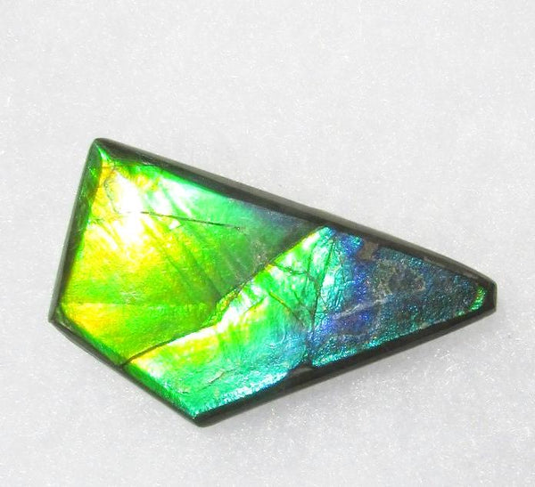 41 x 23 mm  Natural  Free Form . FFN 337 Ammolite  ナチュラル　ルース　アンモライト フリーフォーム
