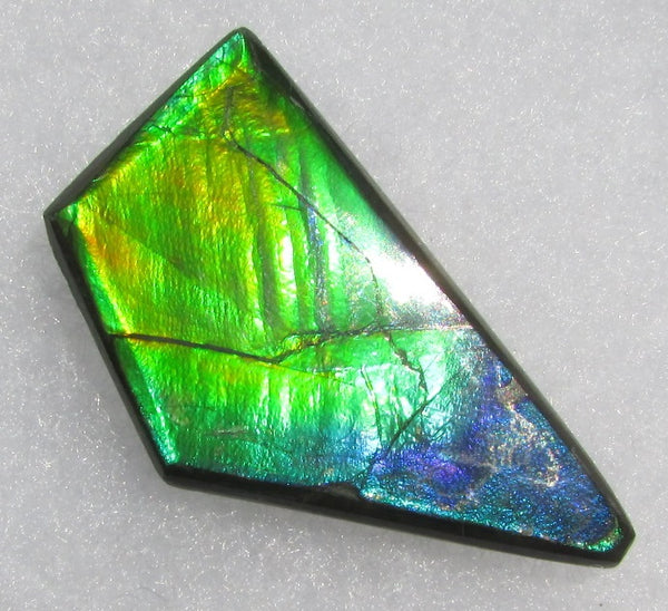 41 x 23 mm  Natural  Free Form . FFN 337 Ammolite  ナチュラル　ルース　アンモライト フリーフォーム