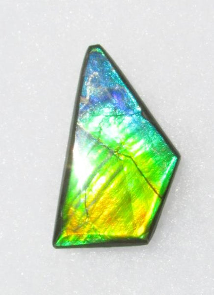 41 x 23 mm  Natural  Free Form . FFN 337 Ammolite  ナチュラル　ルース　アンモライト フリーフォーム
