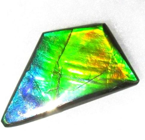 41 x 23 mm  Natural  Free Form . FFN 337 Ammolite  ナチュラル　ルース　アンモライト フリーフォーム