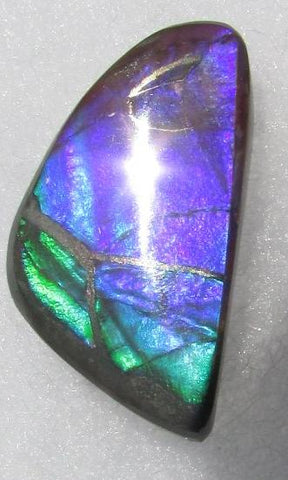 30 x 17 mm  Natural  Free Form . FFN 336 Ammolite  ナチュラル　ルース　アンモライト フリーフォーム
