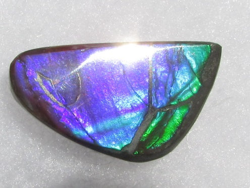 30 x 17 mm  Natural  Free Form . FFN 336 Ammolite  ナチュラル　ルース　アンモライト フリーフォーム