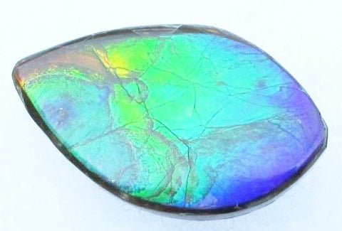 27  x 16 mm  Natural  Free Form . FFN 331 Ammolite  ナチュラル　ルース　アンモライト フリーフォーム
