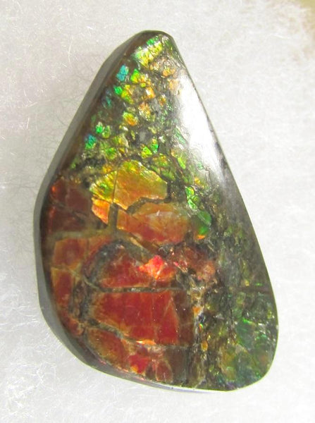 28  x 16 mm  Natural  Free Form . FFN 342 Ammolite Low grade ナチュラル　ルース　アンモライト フリーフォーム