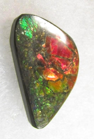 28  x 16 mm  Natural  Free Form . FFN 342 Ammolite Low grade ナチュラル　ルース　アンモライト フリーフォーム