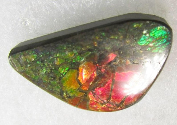 28  x 16 mm  Natural  Free Form . FFN 342 Ammolite Low grade ナチュラル　ルース　アンモライト フリーフォーム