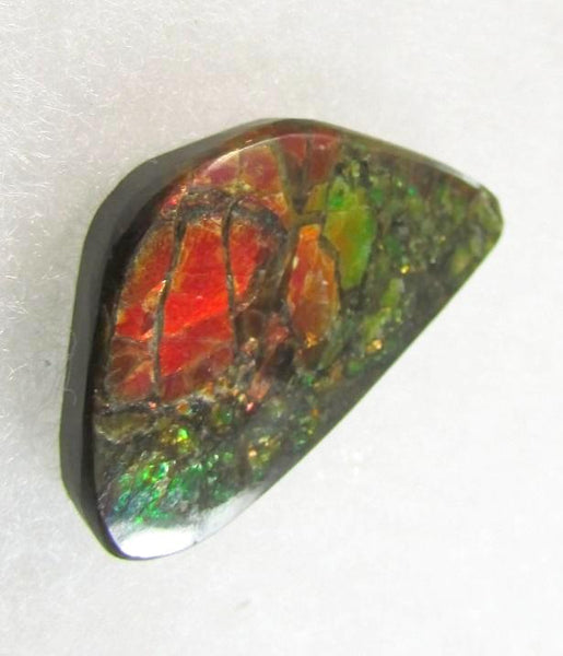 28  x 16 mm  Natural  Free Form . FFN 342 Ammolite Low grade ナチュラル　ルース　アンモライト フリーフォーム