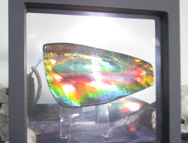 Super Bright  Ammolite   127 x 69x14 mm Collector Stone - CS-126   - アンモライト スーパーブライトカラー コレクターストーン　