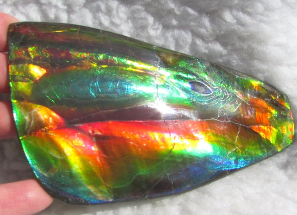 Super Bright  Ammolite   127 x 69x14 mm Collector Stone - CS-126   - アンモライト スーパーブライトカラー コレクターストーン　