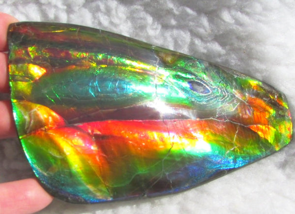 Super Bright  Ammolite   127 x 69x14 mm Collector Stone - CS-126   - アンモライト スーパーブライトカラー コレクターストーン　