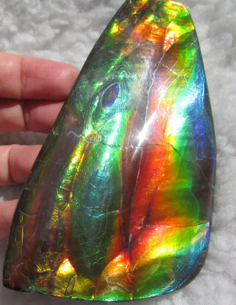 Super Bright  Ammolite   127 x 69x14 mm Collector Stone - CS-126   - アンモライト スーパーブライトカラー コレクターストーン　