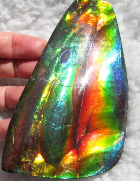 Super Bright  Ammolite   127 x 69x14 mm Collector Stone - CS-126   - アンモライト スーパーブライトカラー コレクターストーン　