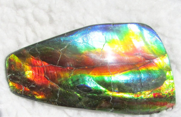 Super Bright  Ammolite   127 x 69x14 mm Collector Stone - CS-126   - アンモライト スーパーブライトカラー コレクターストーン　